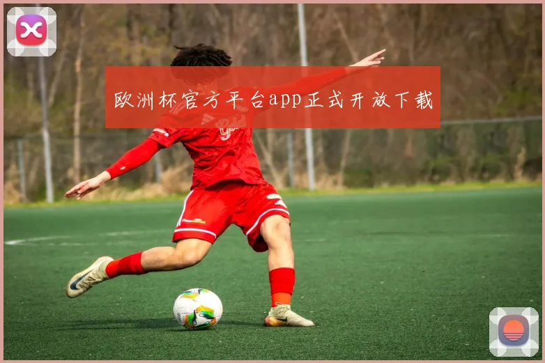 欧洲杯官方平台app正式开放下载